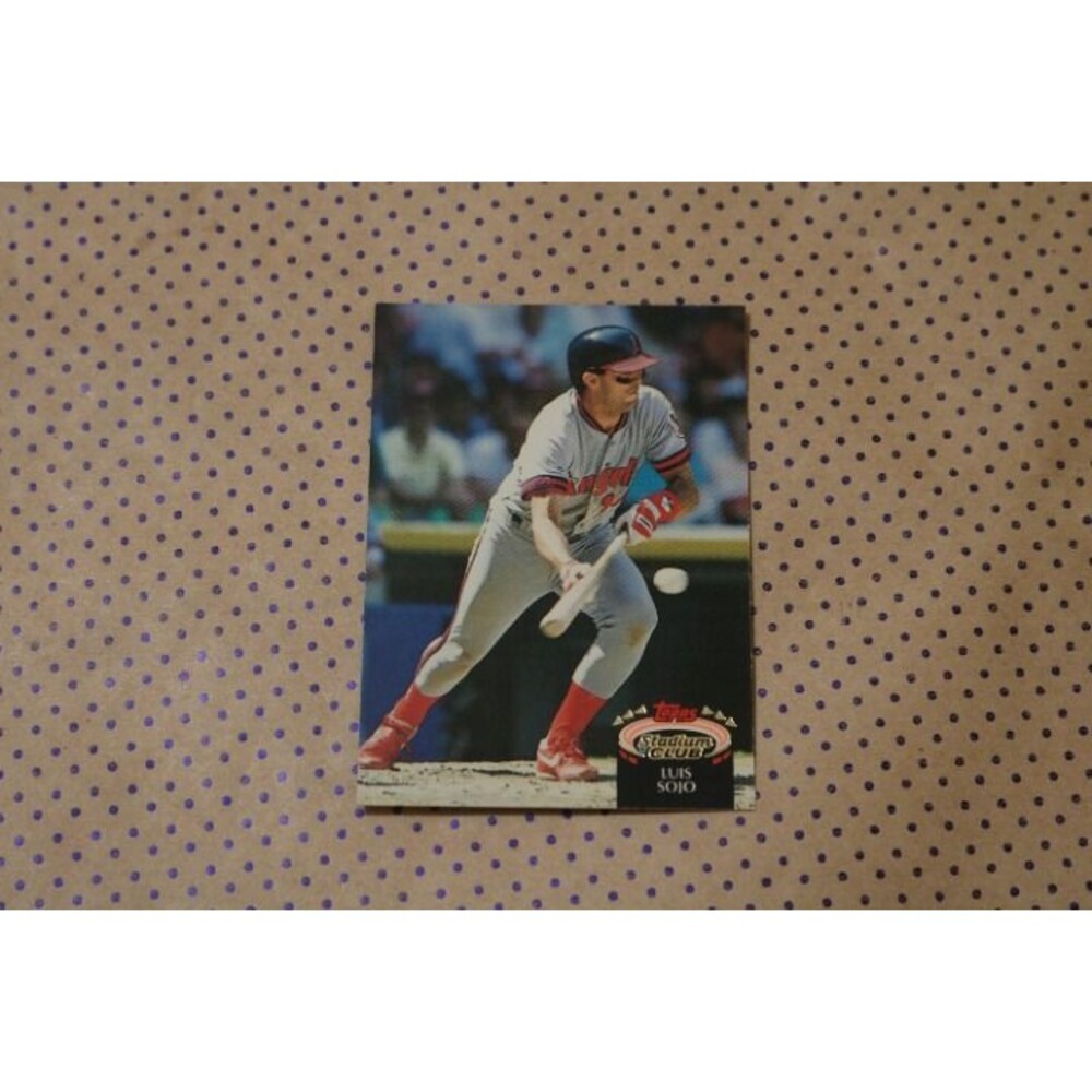 Luis Sojo #373 Baseball Card (1992)
